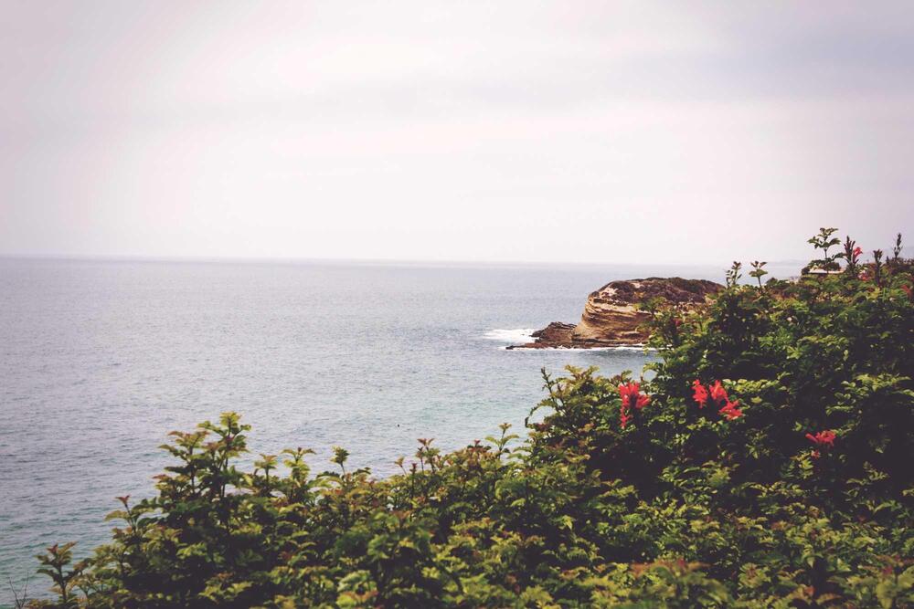 Lorem ipsum dolor sit amet consectetur. Mus rhoncus quis nulla. 5