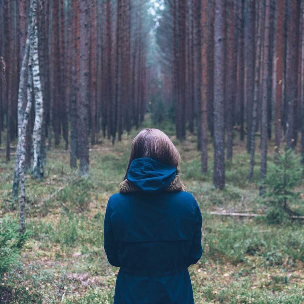 Lorem ipsum dolor sit amet consectetur. Mus rhoncus quis nulla.